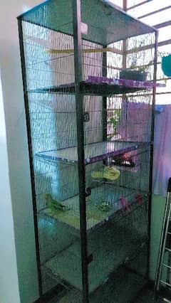 1 cage for birds