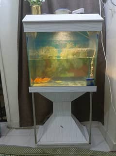 Aquarium for sale with fishes
