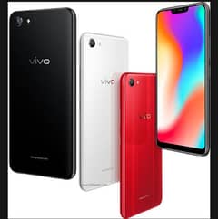 vivo