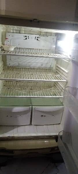 pel refrigerator 1