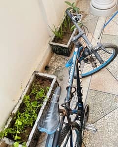 Rainbow bicycle