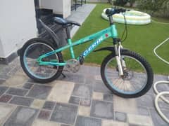 Cycle for sale