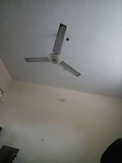 Ceiling fan