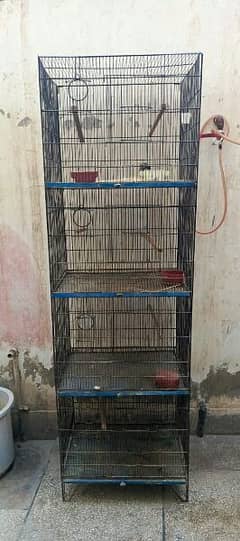 Cage Lovebird 4 portion