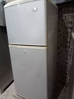 Haier mini fridge