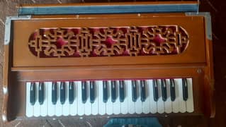 Harmonium ( Politana Paris reed set)