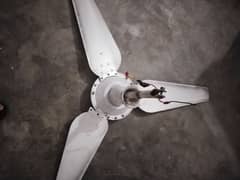 Used Fan for sale 0