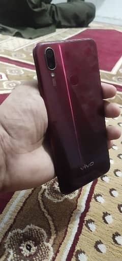 Vivo