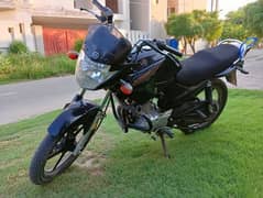 Yamaha YBR 125 2022 Black