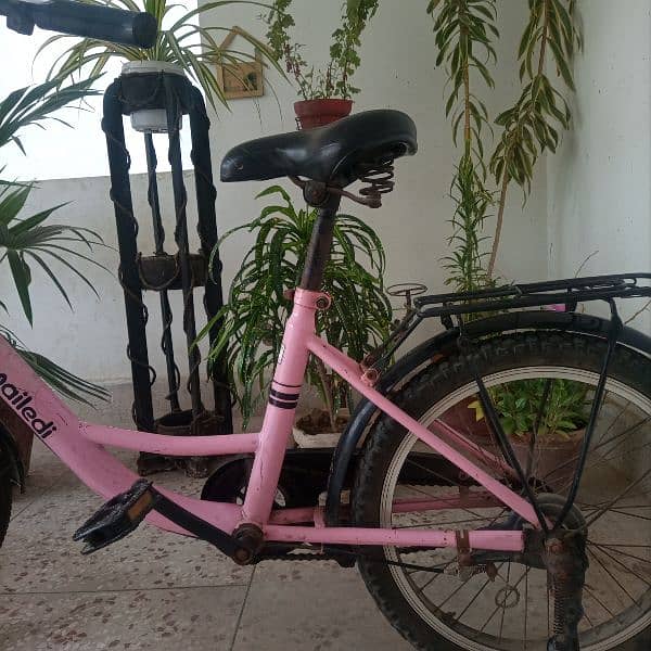 girls bicycle 2