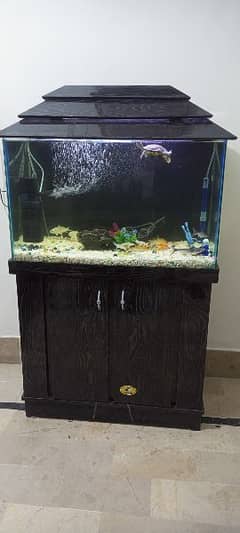 New Aquarium Size 3 by 1.5 by 3 fit