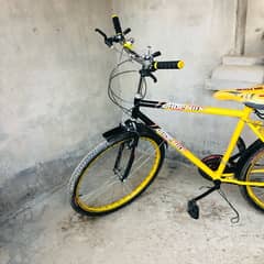 bic cycle 10/10 condition