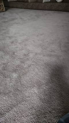 Carpet For Sale Beige Color