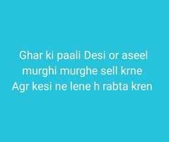 ghar ki paali Desi or aseel murghi murghe sell krne h