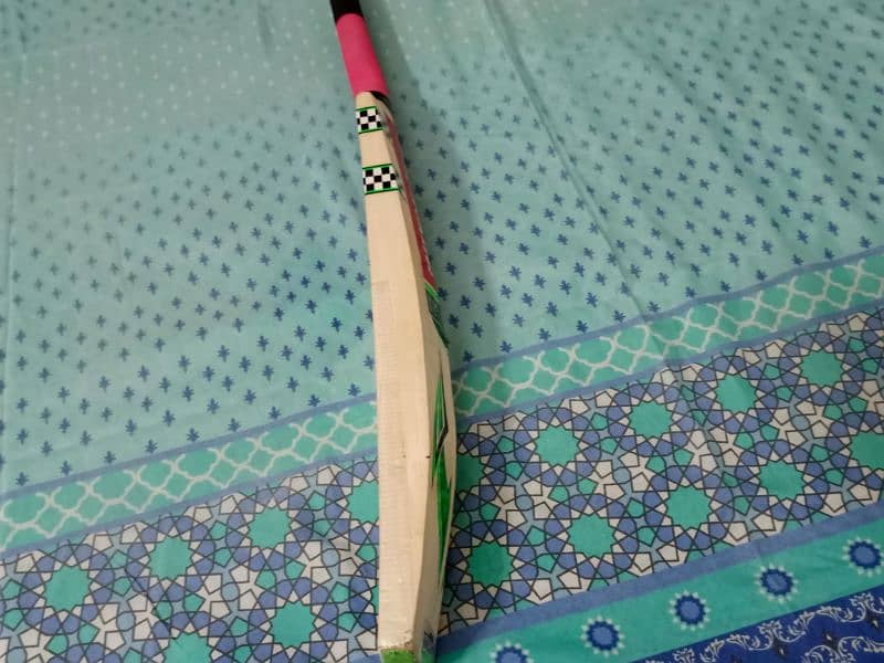 Hard ball bat with protector sheet and lower graud 1