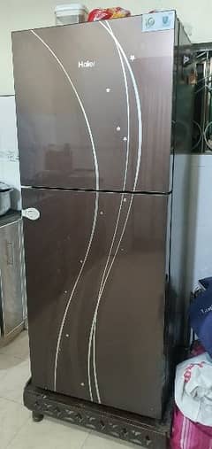 fridge and deep freezer