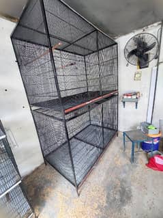 colony cage for sale