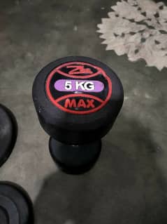 Jym Dumbells and weight plates for sale