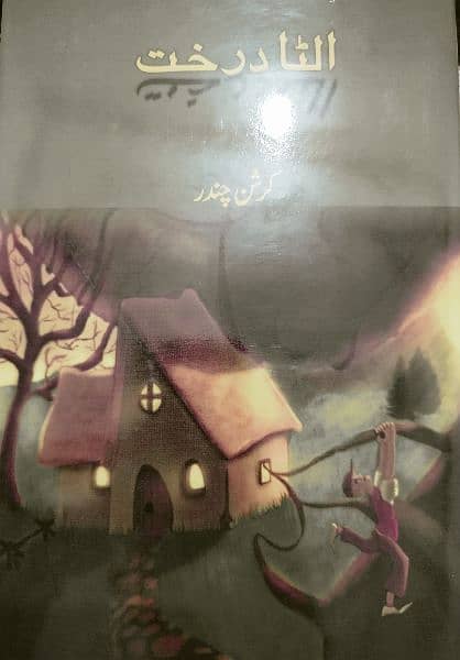 Pack of 10 Urdu Novels For Sale 5