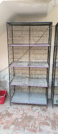 Parrot cage