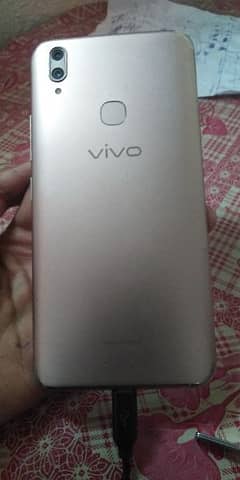 vivo