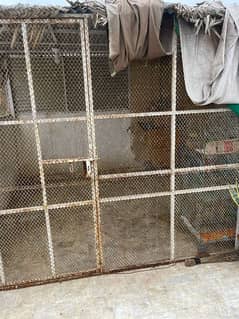 Cage 4 sale