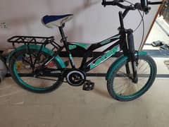 cycle for sale 20 size