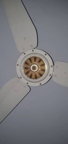 celling fan lahore modle