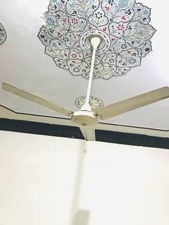 Ceiling fan off-white color