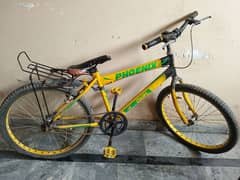 phoenix cycle for sale