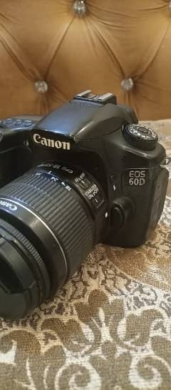 Canon 60D  (10/10)