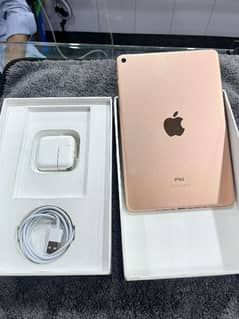 iPad Mini 5 (64 Gb)