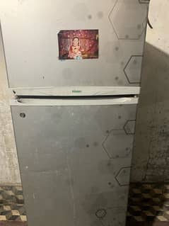 refrigerator fridge haier