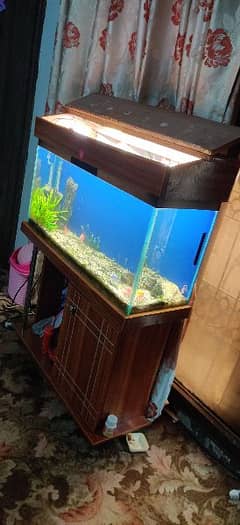 Aquarium with table and hood