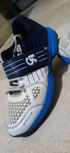 CA sports shoes for sale (10numb)