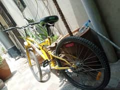 GREADY BICYLES