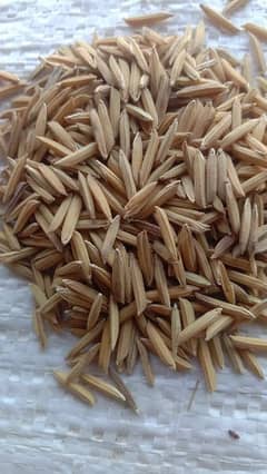 Supri Rice for sale