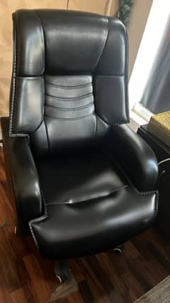 Executive CEO Chair