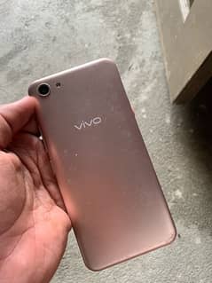 Vivo Total genuine