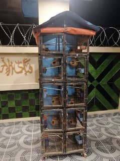 Parrot cage with all accessories