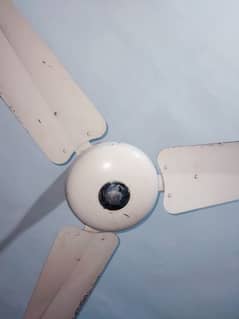 Pak Fan 120 watts