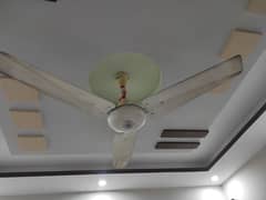 Ceiling Fan For Sale