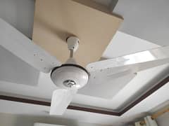 BRAND NEW CEILING FAN