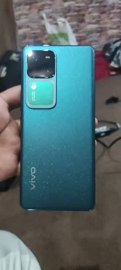 vivo