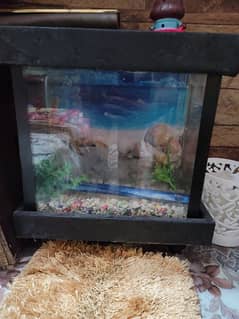 mine aquarium for sale