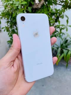 iPhone xr 64gb white pta aproved 10/10