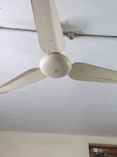 SK Fan Ceiling Fan