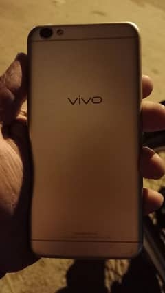 vivo