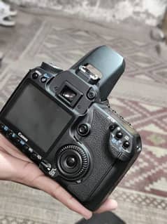 canon 40d