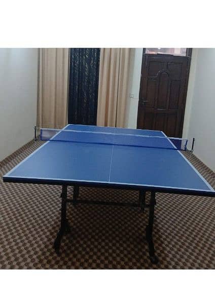 Table tennis table 12